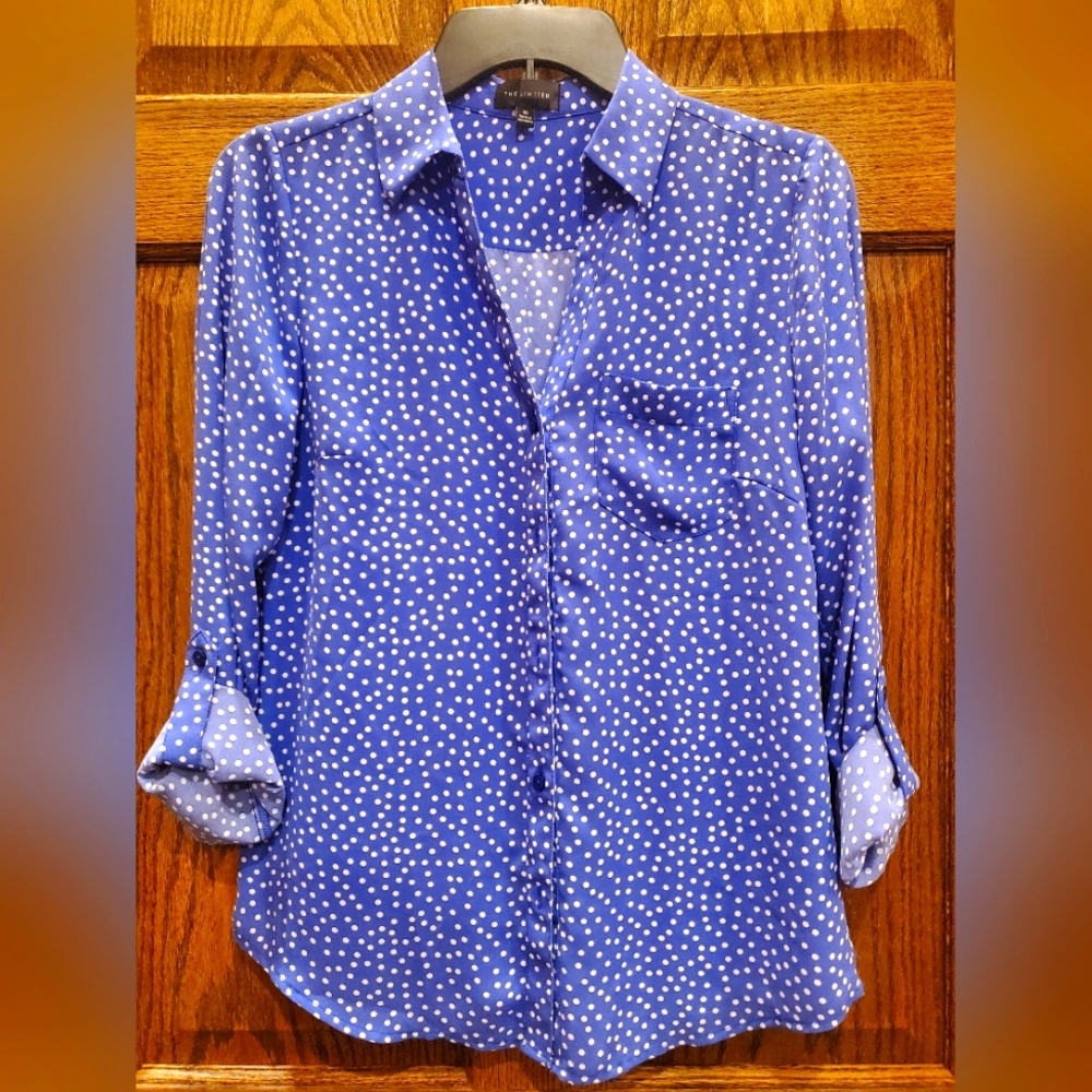 The Limited Blouse
